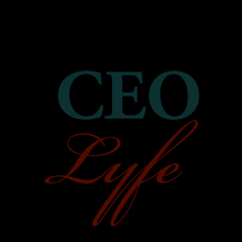 Load image into Gallery viewer, CEO LYFE Beanies Headwear for cold weather Fall and Winter Edition
